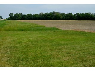 Property photo 63 - FARM & LAND AUCTION - 125+/- ACRES OFFERED IN 5 TRACTS IN EAST ALLEN COUNTY, INDIANA